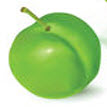 خواص ، مضرات و طبع میوه گوجه سبز Greengage 