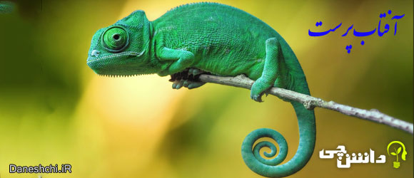 آفتاب پرست (Chameleon)