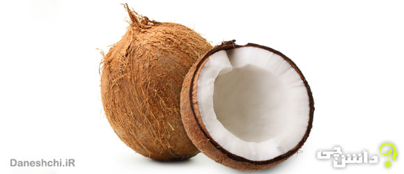 میوه نارگیل (Coconut)