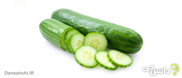 خیار (Cucumber)
