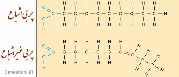 تفاوت چربی اشباع و غیر اشباع و اثر آن در تغذیه