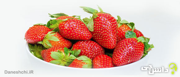 توت فرنگی (Strawberry)