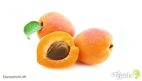 میوه زردآلو (Armenian plum)