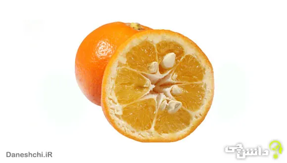 میوه نارنج (Bitter orange )