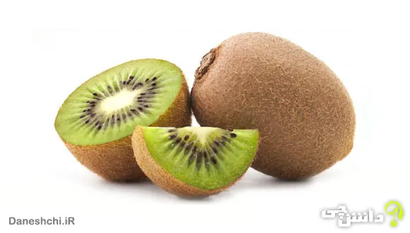 میوه کیوی (Kiwifruit )