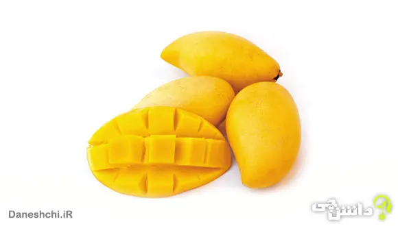 میوه انبه (Mango)