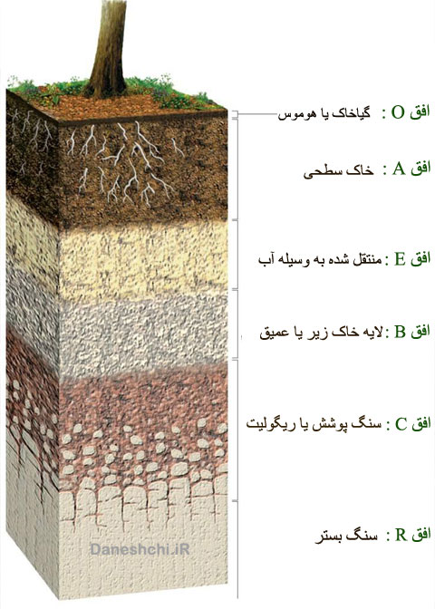 افق های خاک