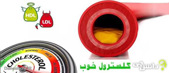 لیپوپروتئین پر چگال