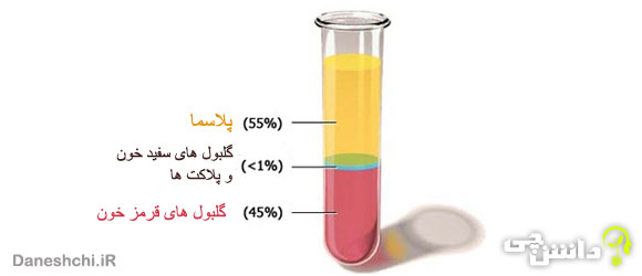 تحقیق در مورد پلاسما یا خوناب