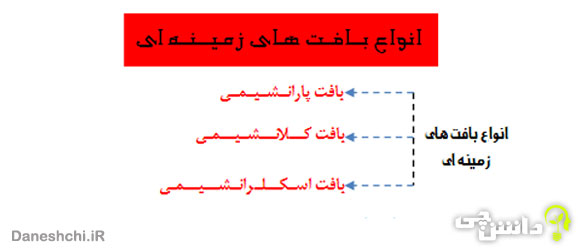 تحقیق در مورد بافت پارانشیمی، کلانشیمی و اسکلرانشیمی 