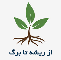 از ریشه تا برگ شکل